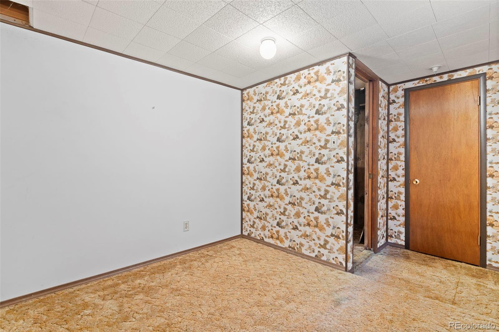 MLS Image #29 for 1080 e 85th place,denver, Colorado