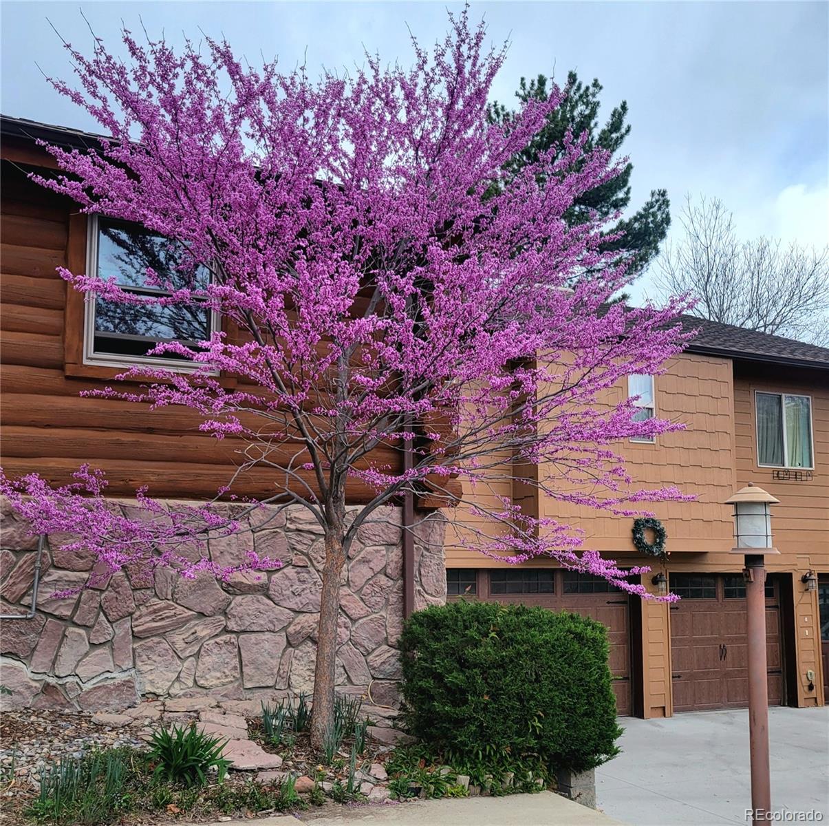 MLS Image #44 for 7801 s estes street,littleton, Colorado