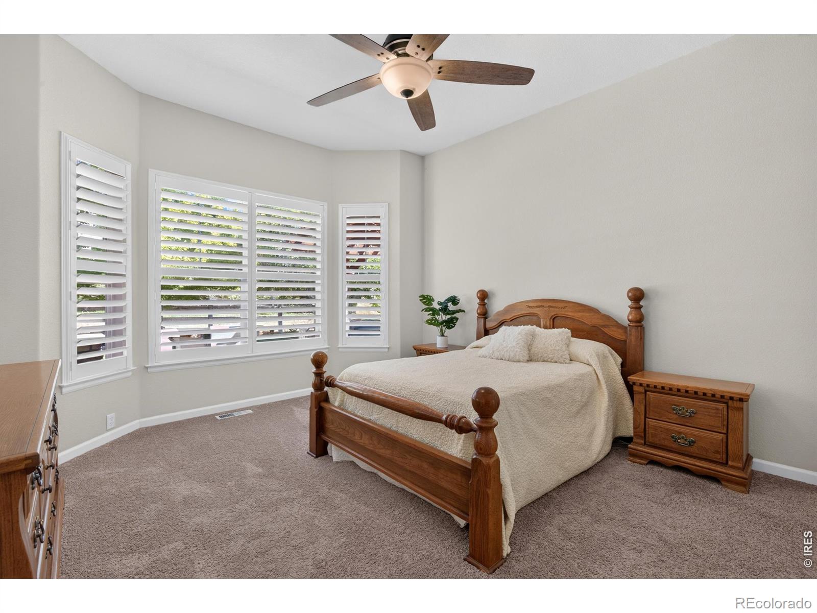 MLS Image #22 for 3423  vestal loop,broomfield, Colorado