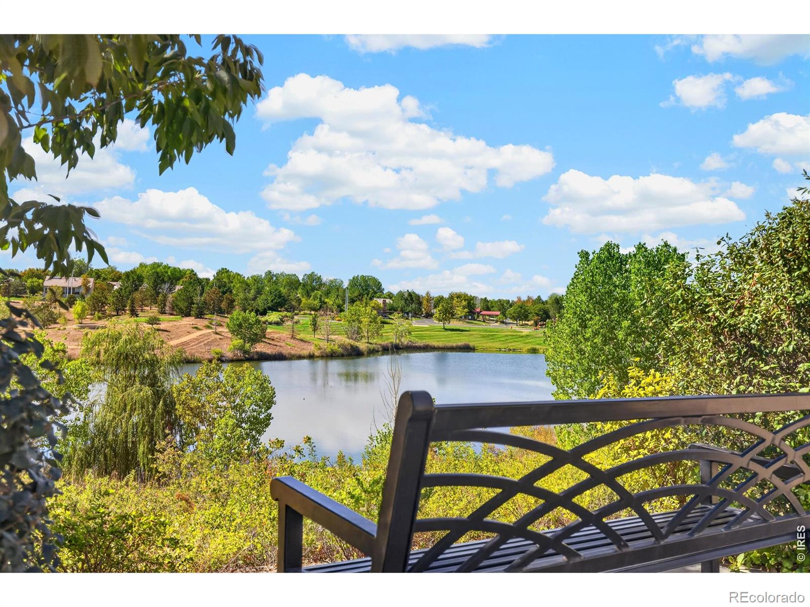 MLS Image #42 for 3423  vestal loop,broomfield, Colorado