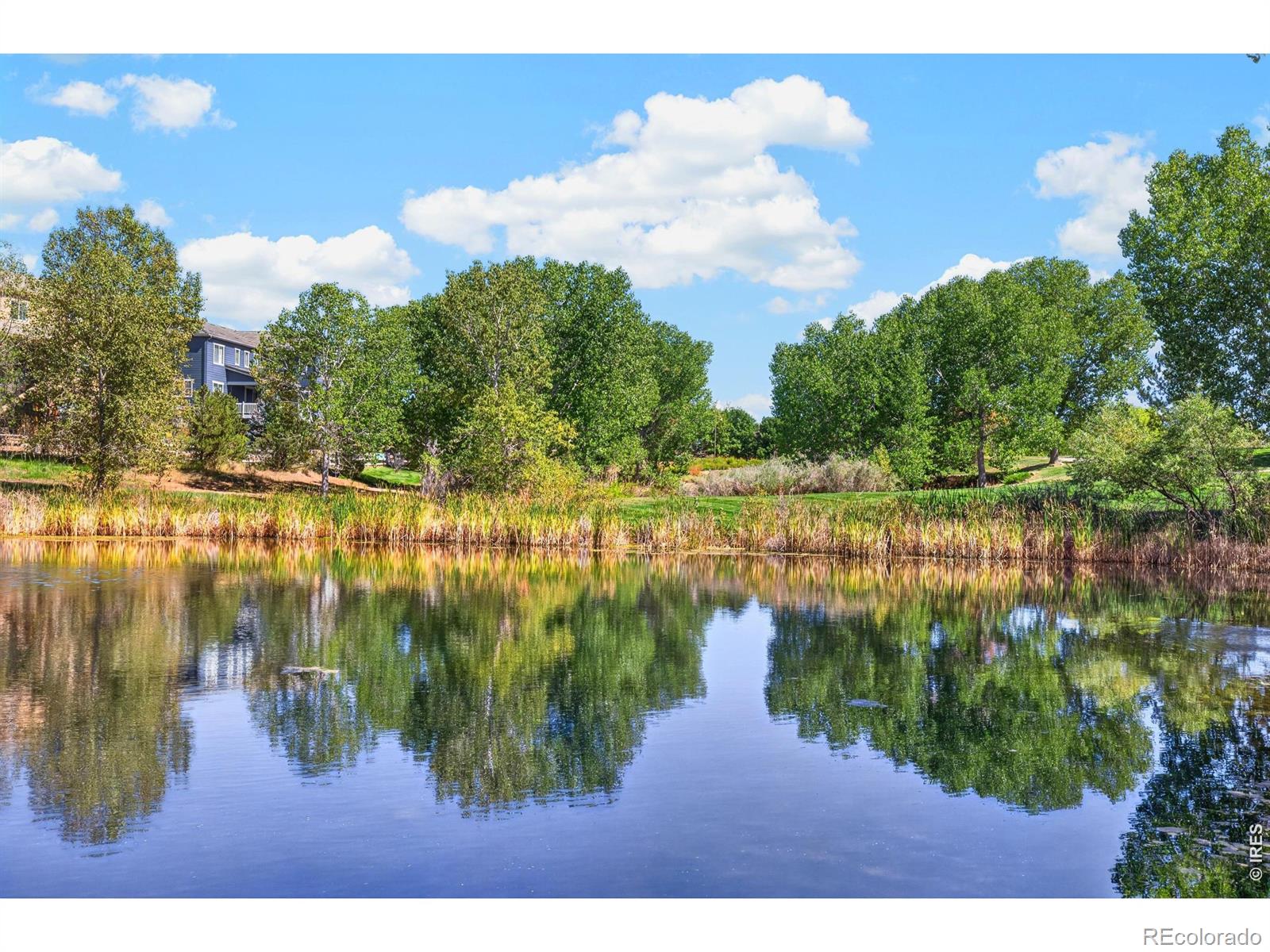 MLS Image #43 for 3423  vestal loop,broomfield, Colorado