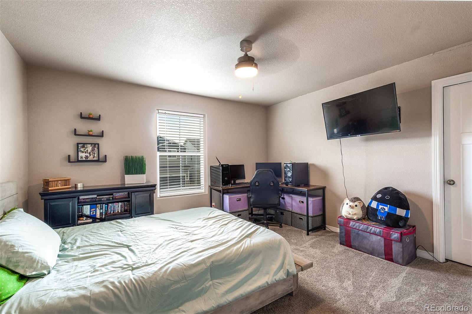 MLS Image #32 for 9652  emerald vista drive,peyton, Colorado