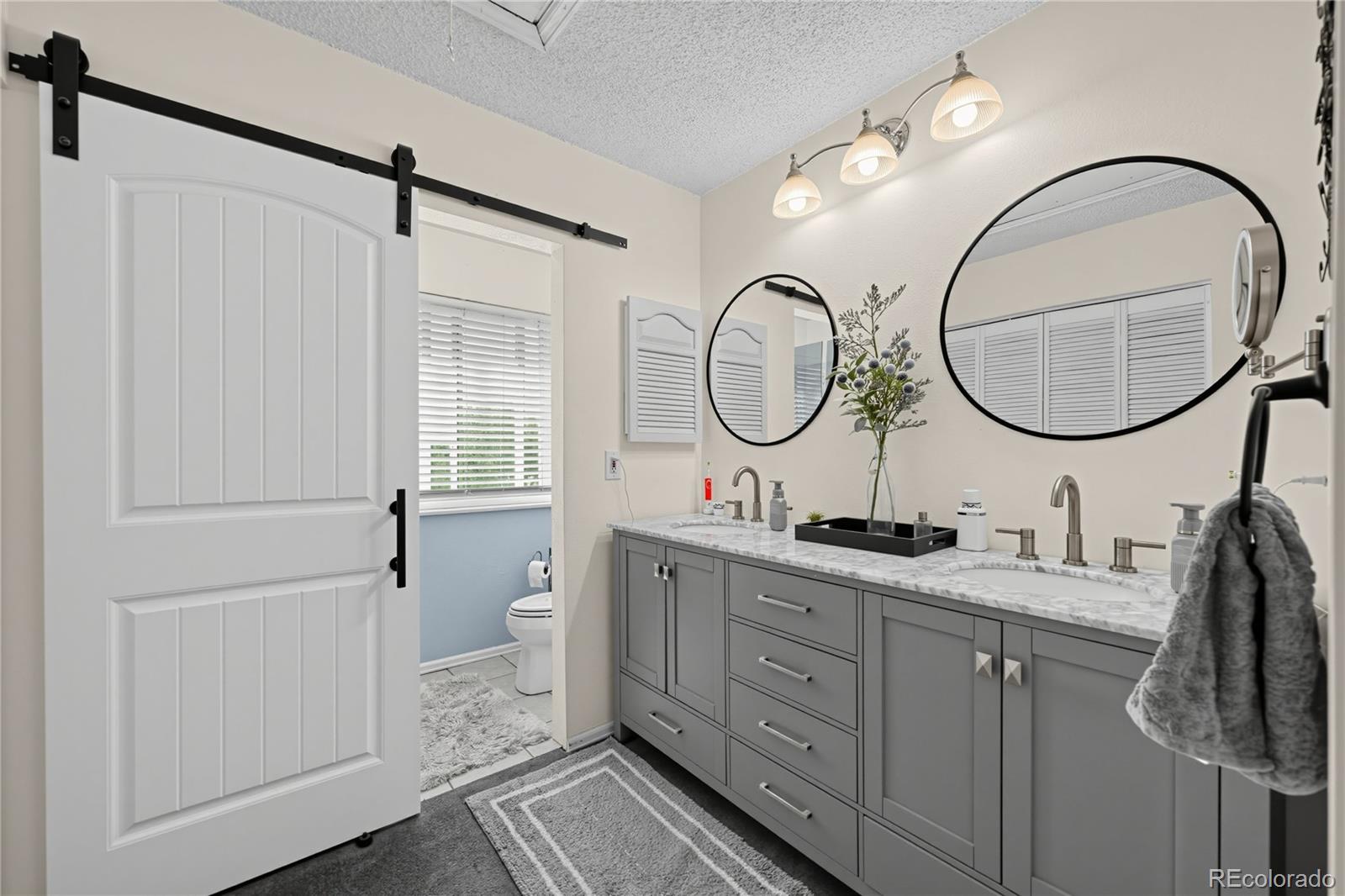 MLS Image #19 for 17368 e asbury circle,aurora, Colorado