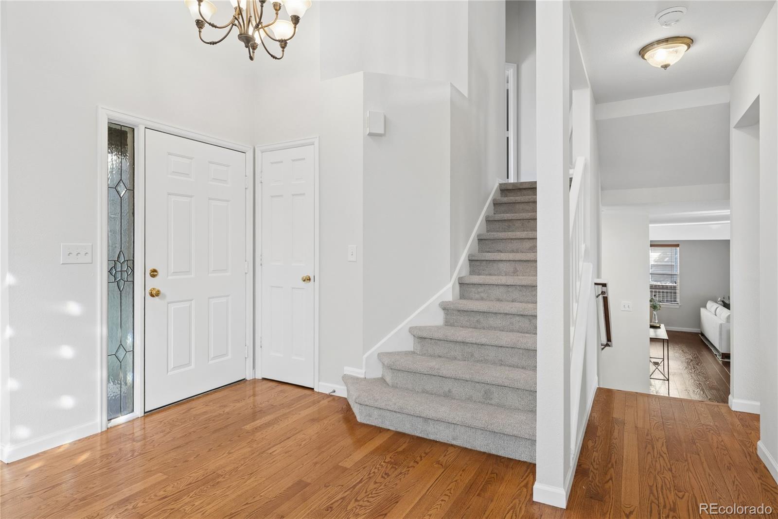 MLS Image #30 for 1264  mcintosh avenue,broomfield, Colorado