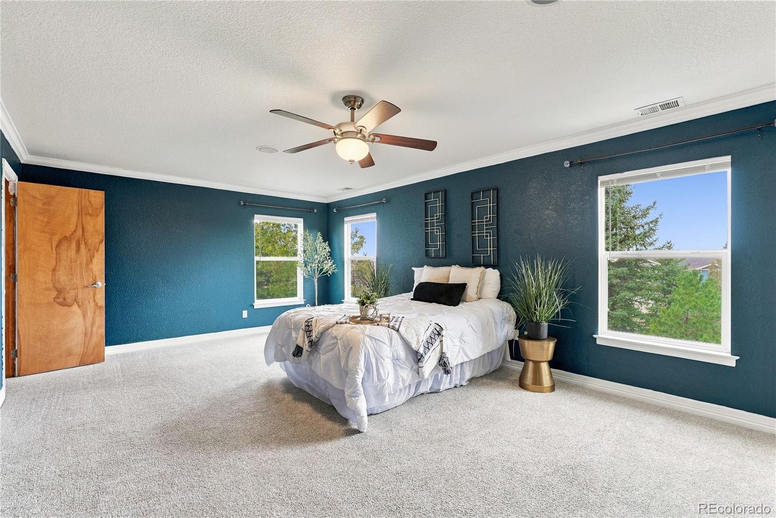 MLS Image #20 for 6283  turnstone place,castle rock, Colorado