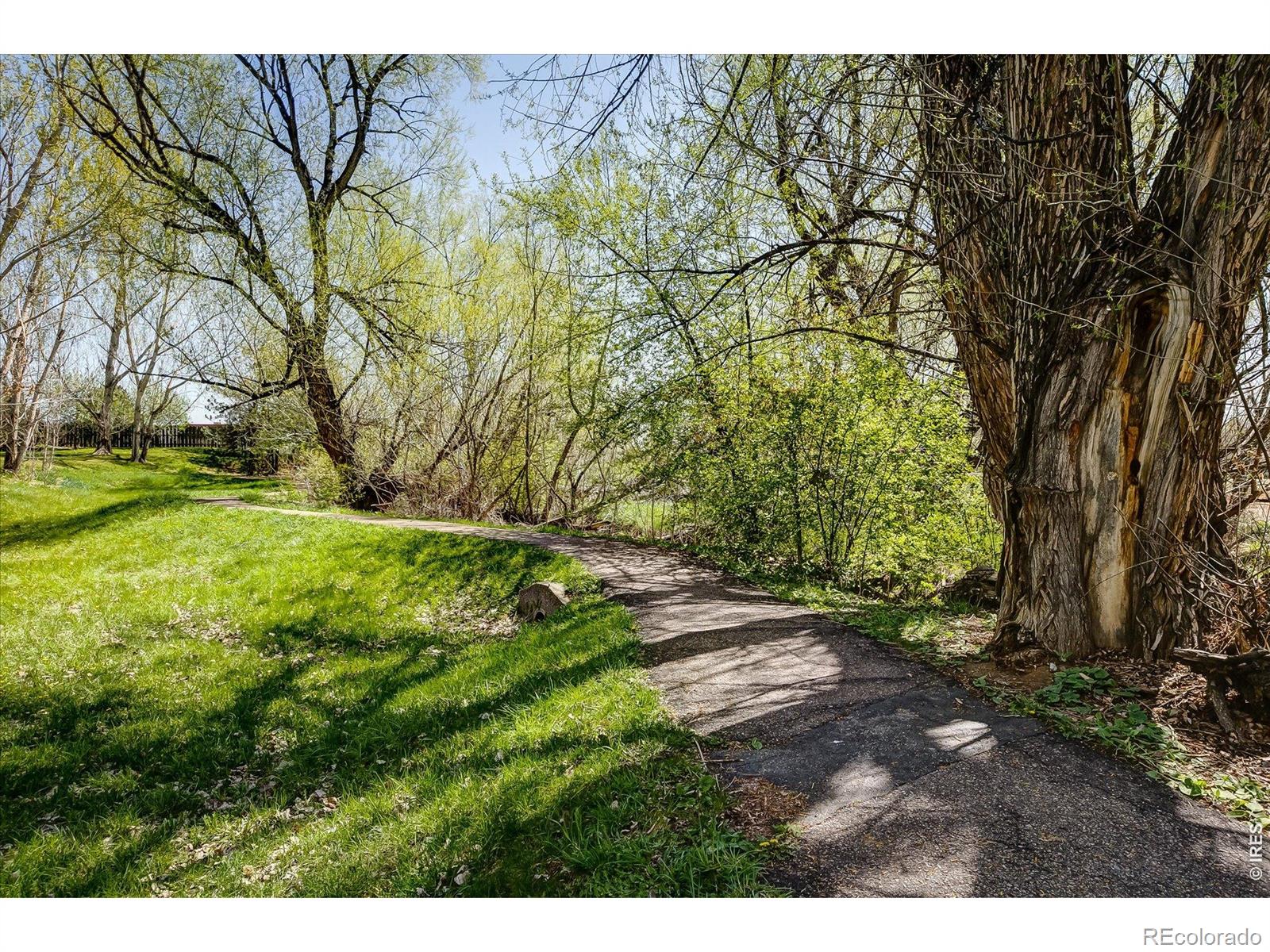 MLS Image #21 for 4431  driftwood place,boulder, Colorado