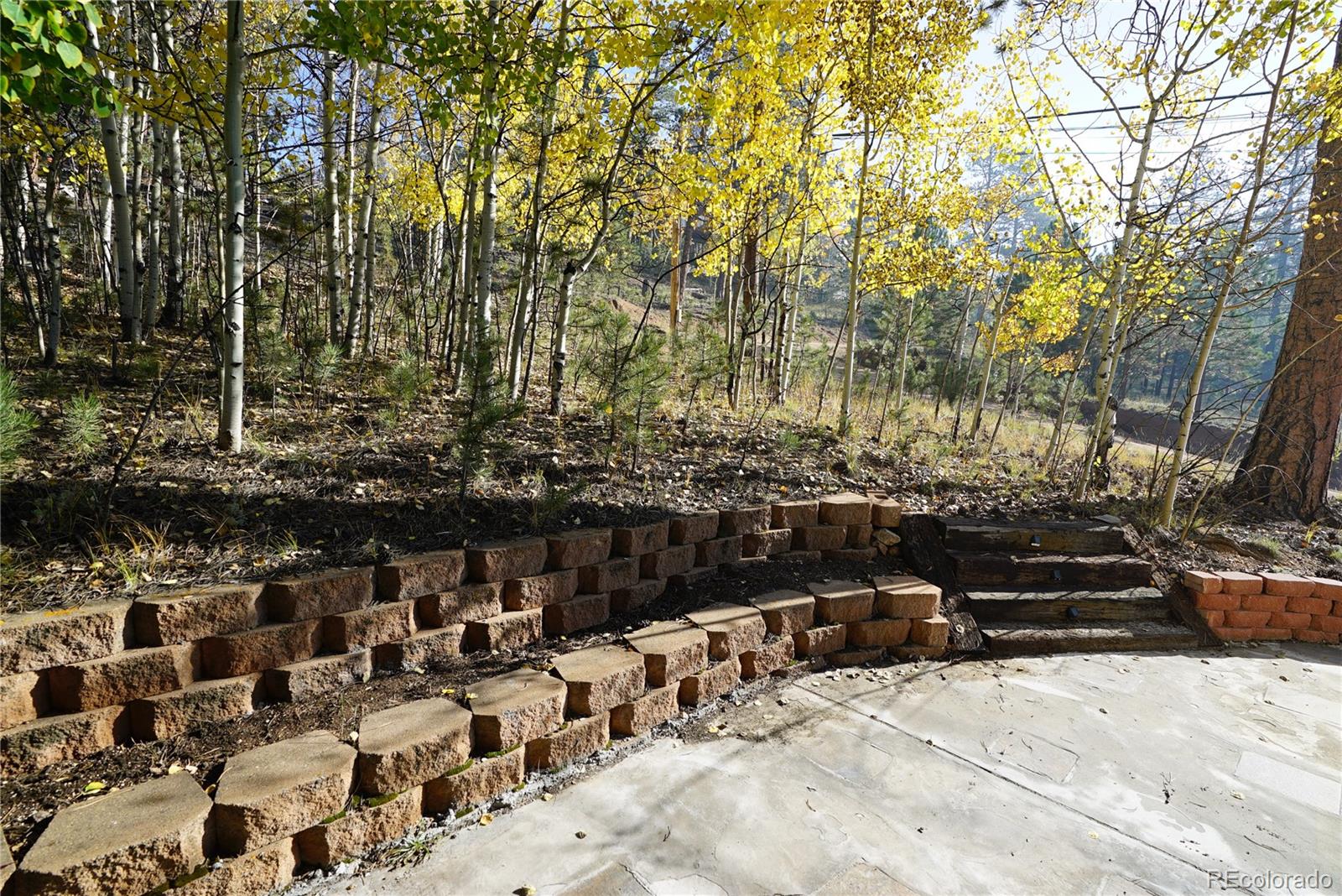MLS Image #11 for 68  jones road,bailey, Colorado