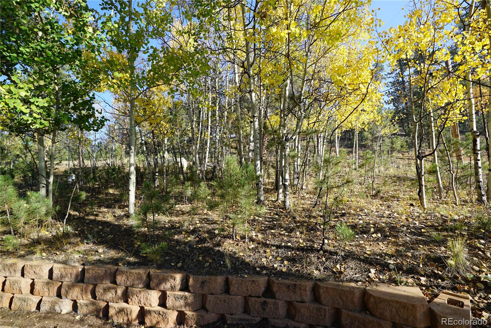 MLS Image #14 for 68  jones road,bailey, Colorado