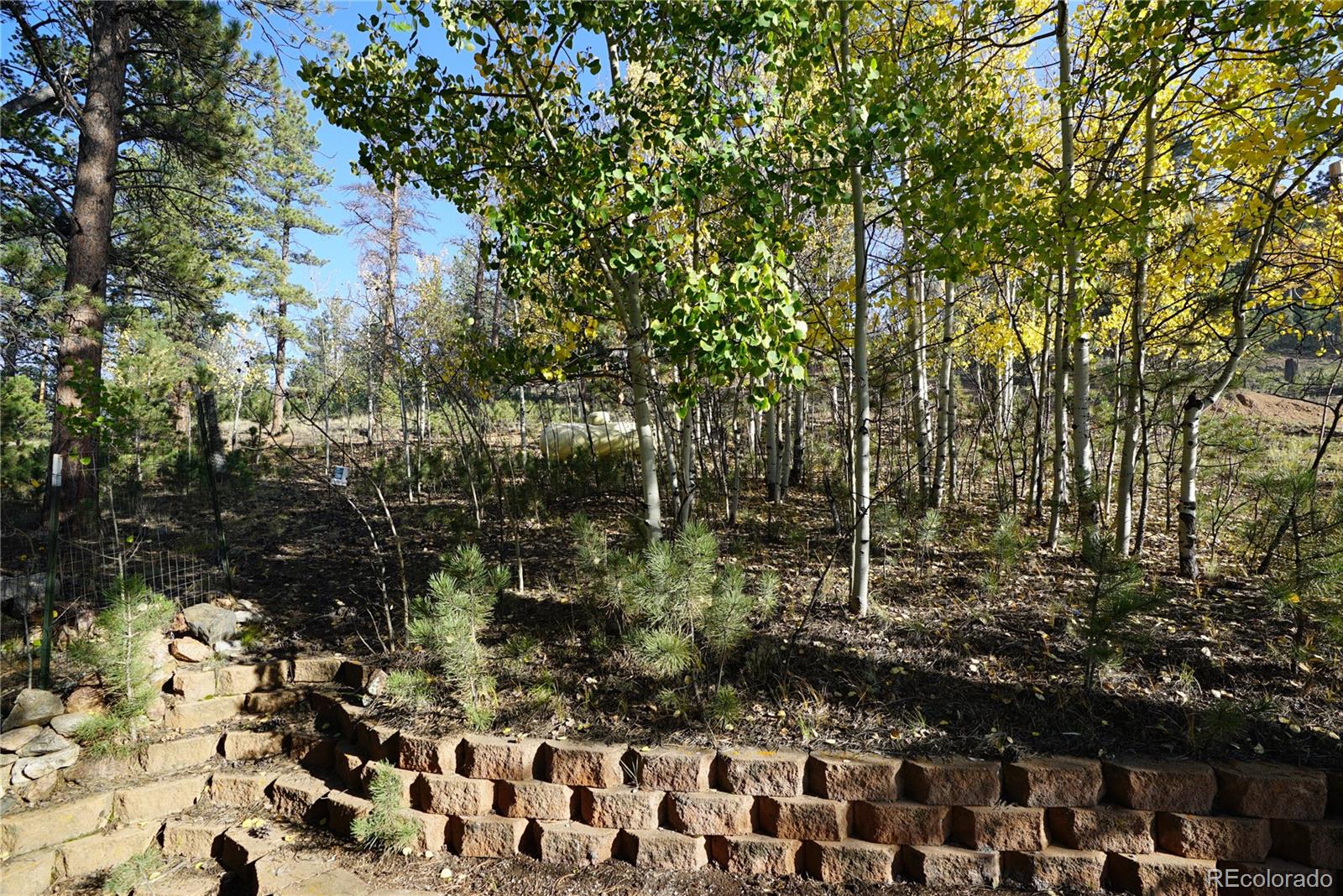 MLS Image #22 for 68  jones road,bailey, Colorado