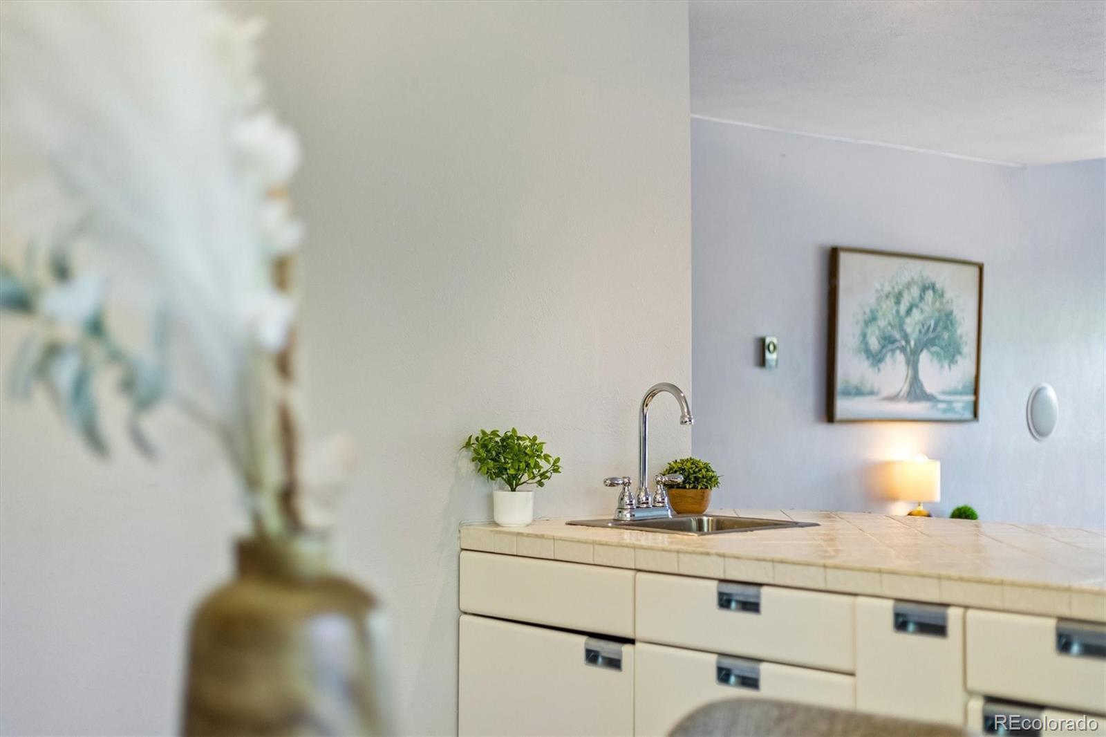 MLS Image #14 for 6374  kenya drive,evergreen, Colorado