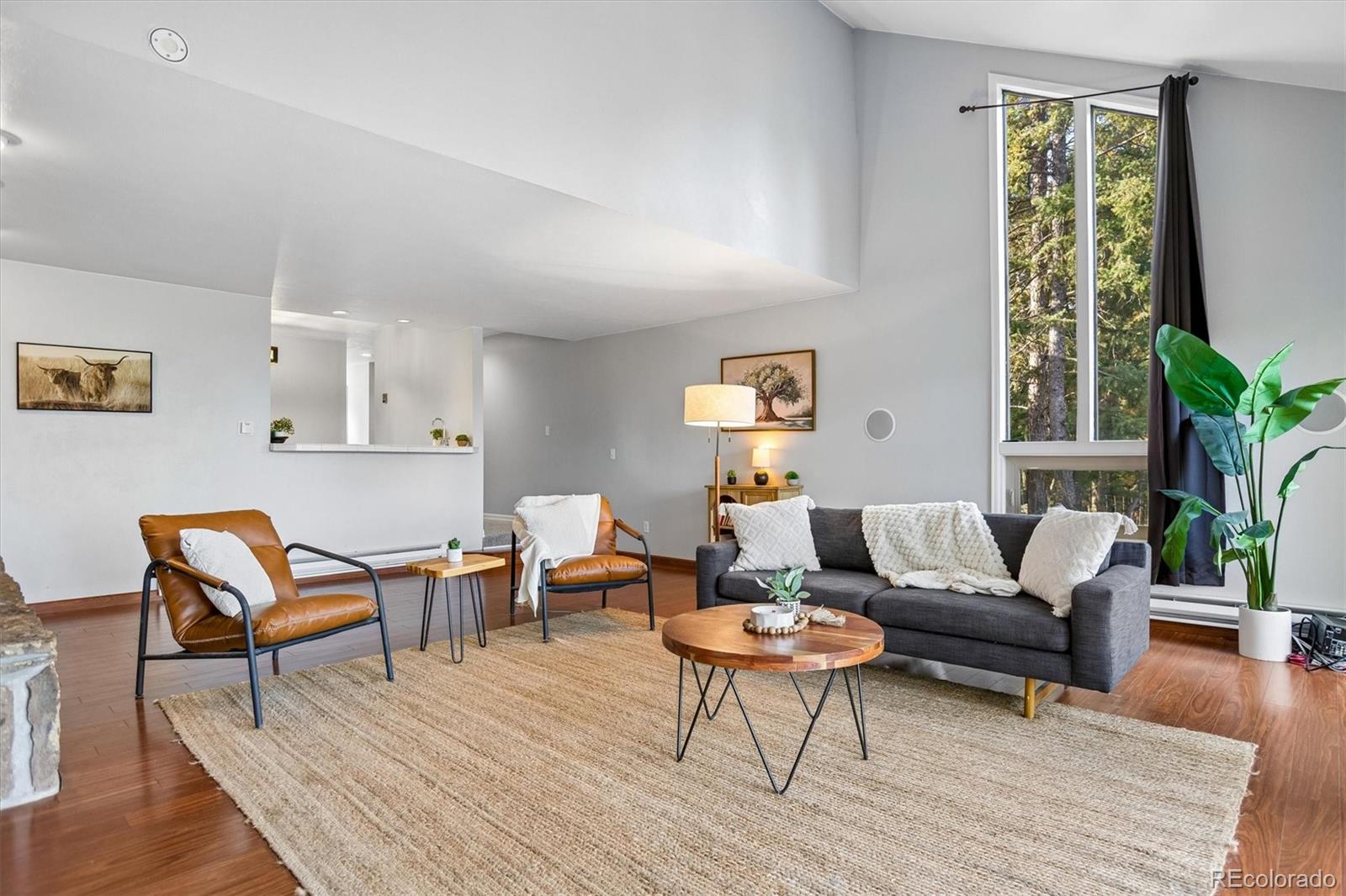 MLS Image #2 for 6374  kenya drive,evergreen, Colorado