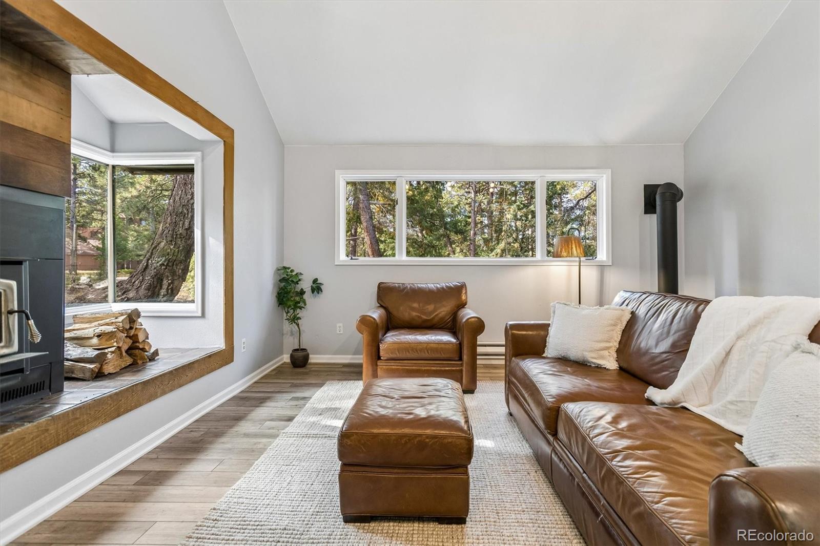 MLS Image #20 for 6374  kenya drive,evergreen, Colorado