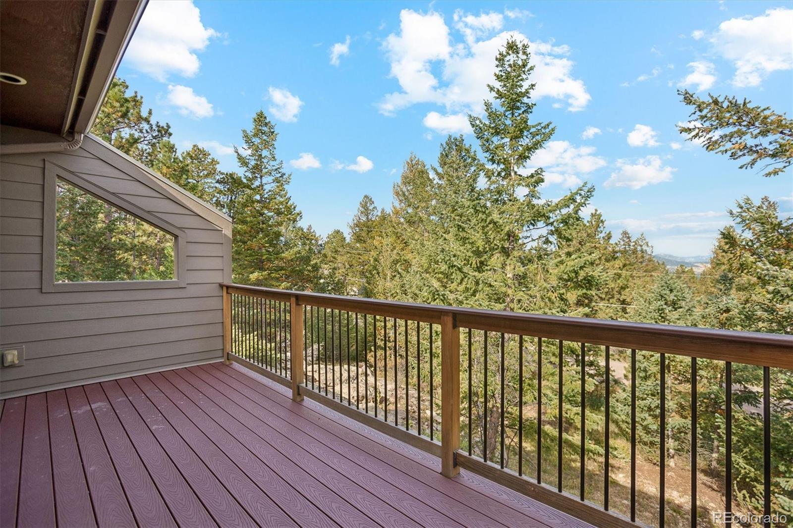 MLS Image #40 for 6374  kenya drive,evergreen, Colorado