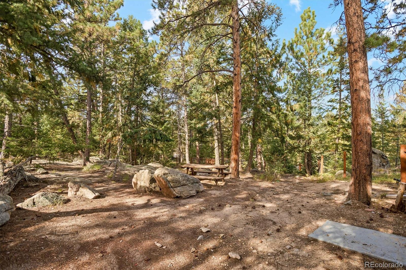 MLS Image #47 for 6374  kenya drive,evergreen, Colorado