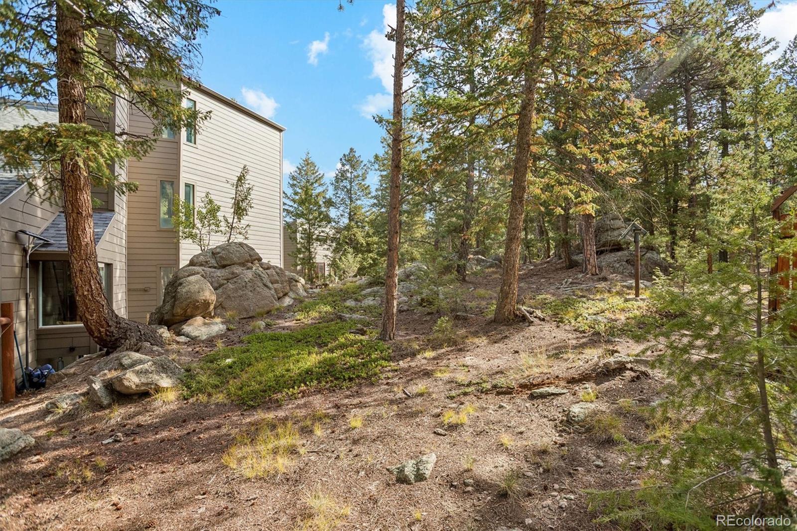 MLS Image #48 for 6374  kenya drive,evergreen, Colorado