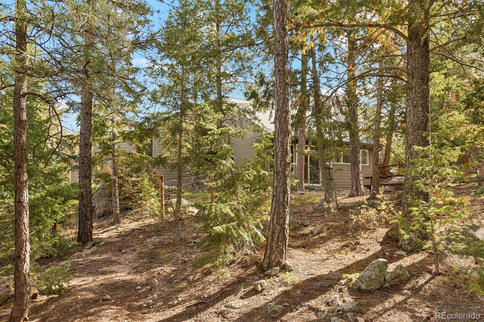 MLS Image #49 for 6374  kenya drive,evergreen, Colorado