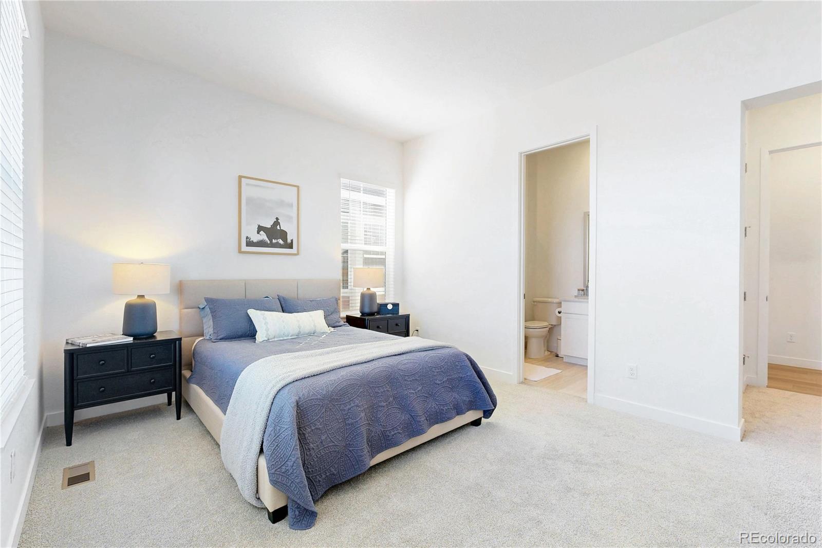 MLS Image #14 for 3903  treadway point,castle rock, Colorado