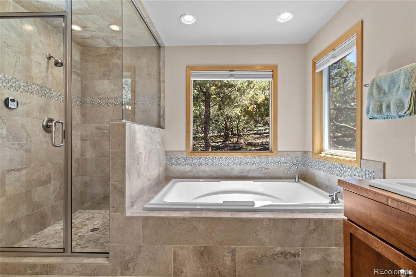 MLS Image #17 for 2145  indian well way,crestone, Colorado
