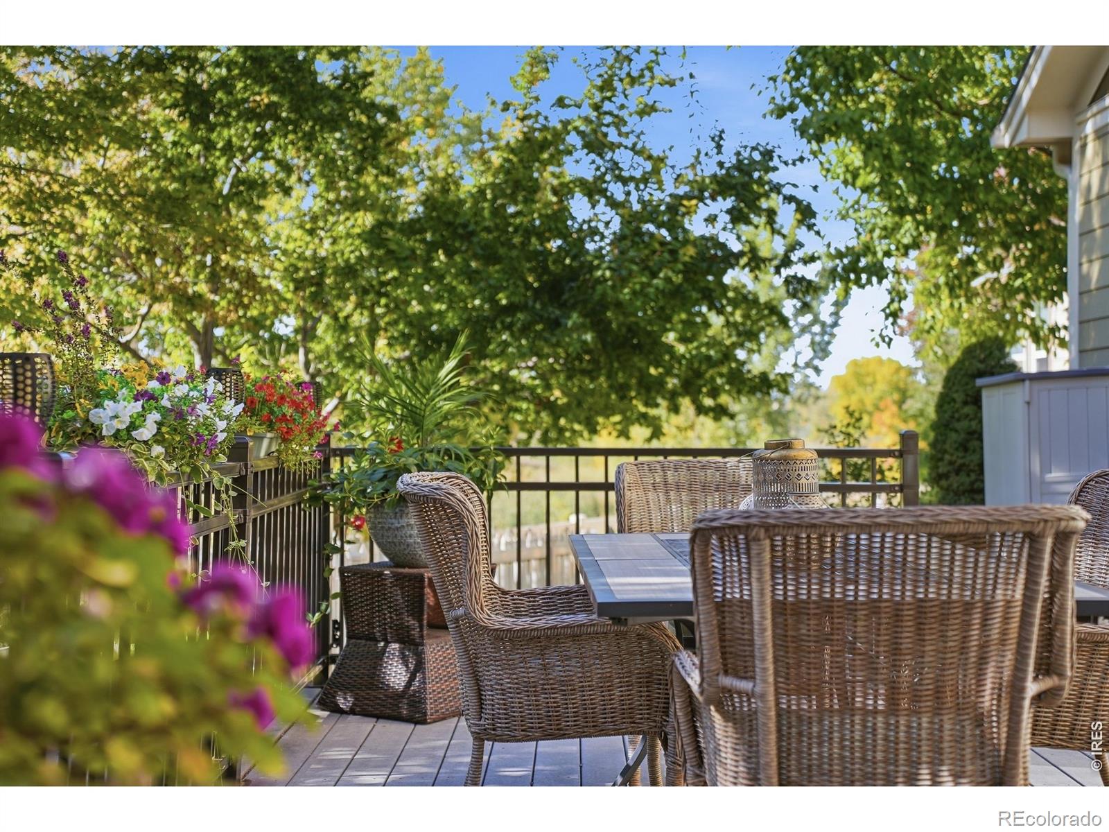 MLS Image #39 for 1413  bluemoon drive,longmont, Colorado