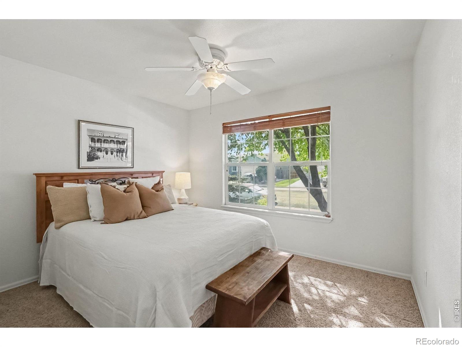 MLS Image #15 for 3616  settler ridge drive,mead, Colorado