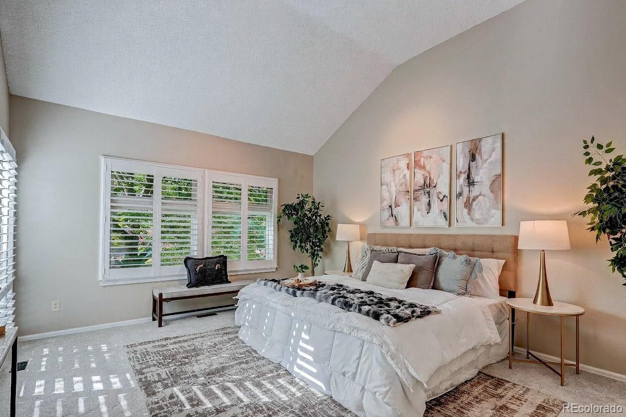 MLS Image #18 for 8849  blue mountain place,highlands ranch, Colorado