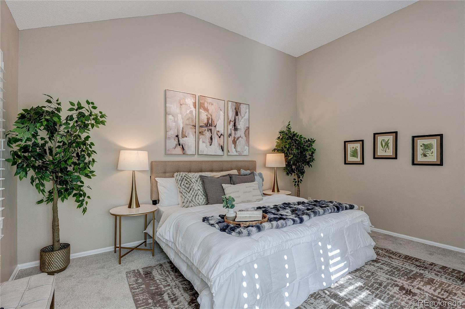MLS Image #19 for 8849  blue mountain place,highlands ranch, Colorado