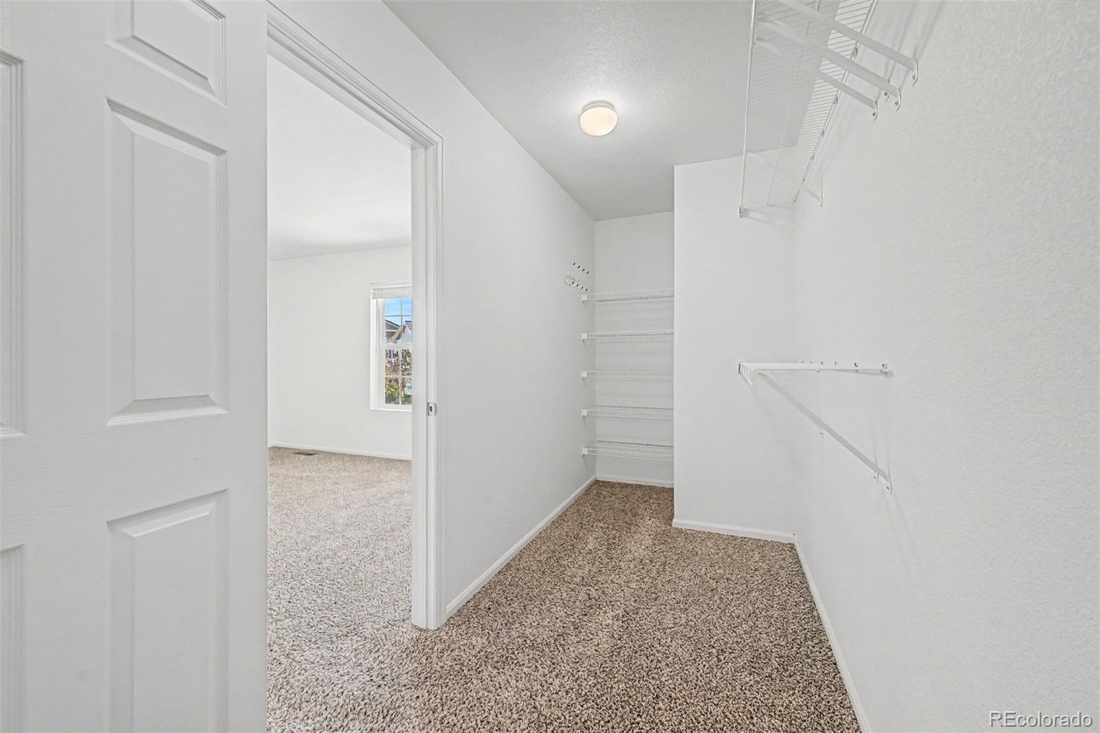 MLS Image #17 for 3505  dinosaur street,castle rock, Colorado