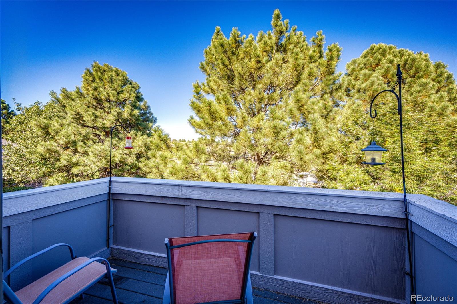 MLS Image #17 for 1364  pine ridge court,castle pines, Colorado