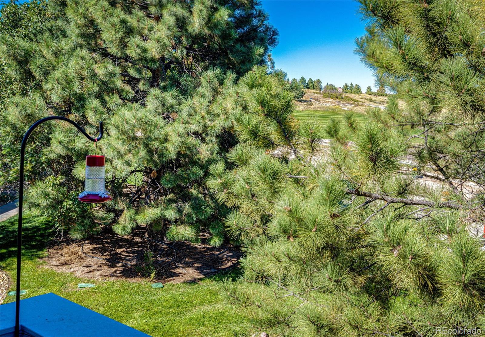 MLS Image #18 for 1364  pine ridge court,castle pines, Colorado