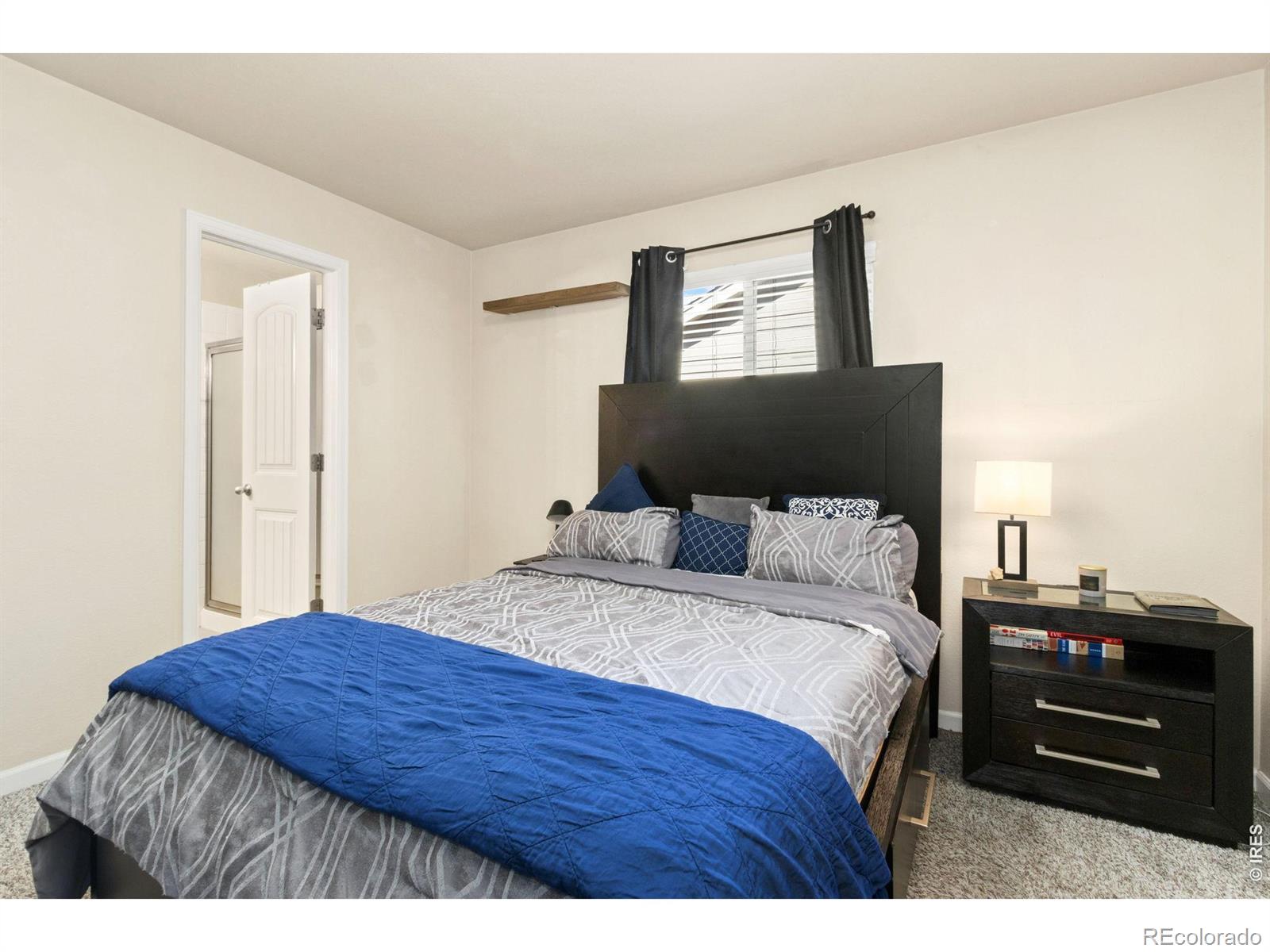 MLS Image #15 for 1855  gemini court,loveland, Colorado