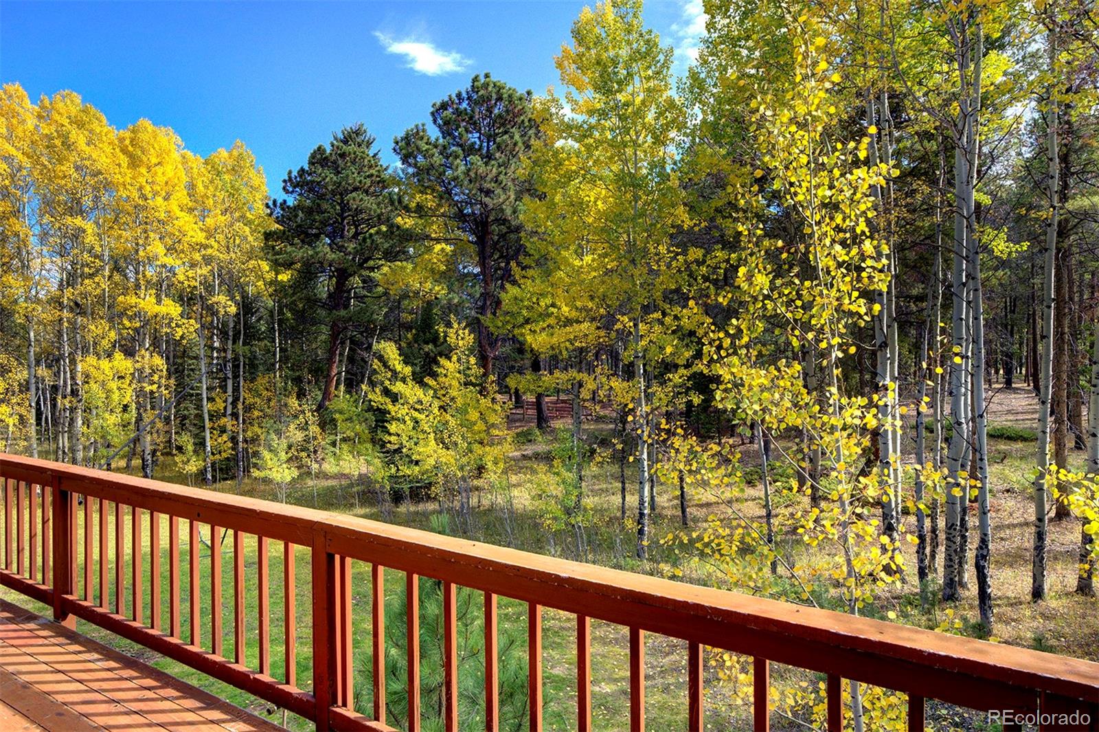MLS Image #10 for 11800 s ridge road,conifer, Colorado