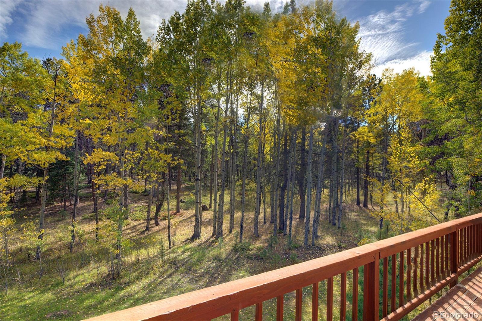 MLS Image #2 for 11800 s ridge road,conifer, Colorado