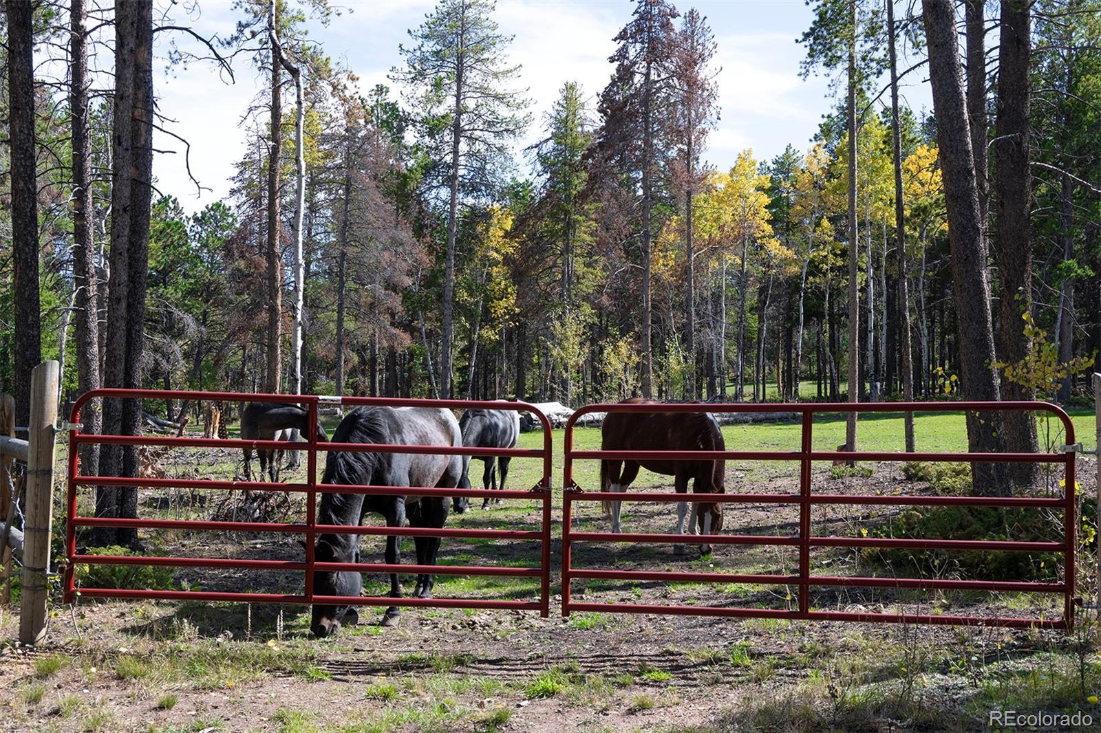 MLS Image #30 for 11800 s ridge road,conifer, Colorado