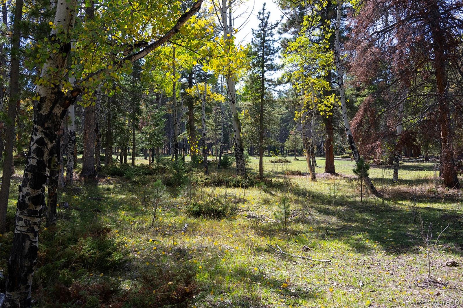 MLS Image #33 for 11800 s ridge road,conifer, Colorado