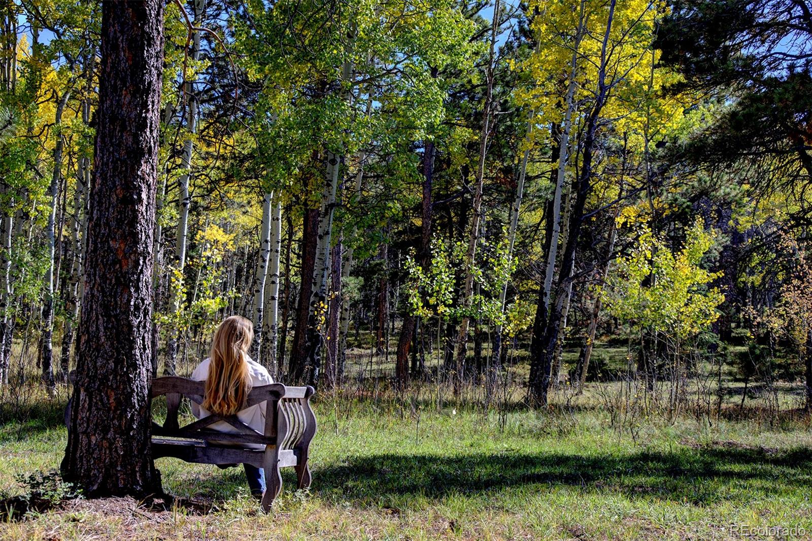 MLS Image #38 for 11800 s ridge road,conifer, Colorado