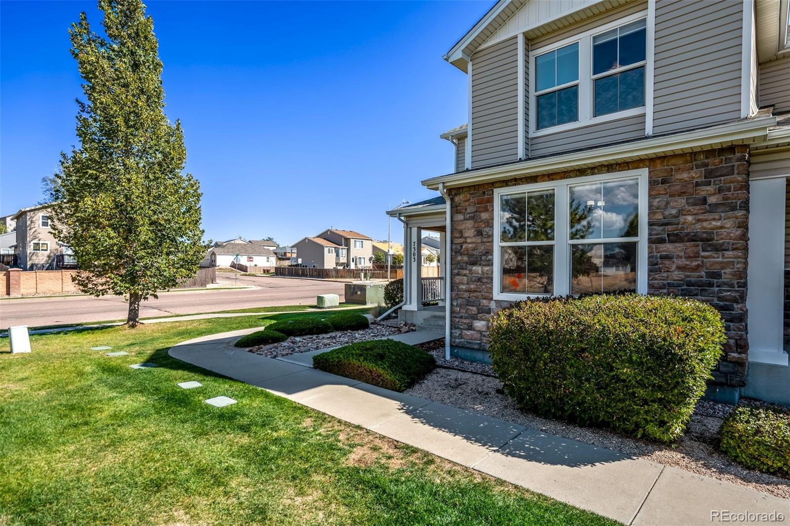 MLS Image #3 for 7303  sandy springs point,fountain, Colorado