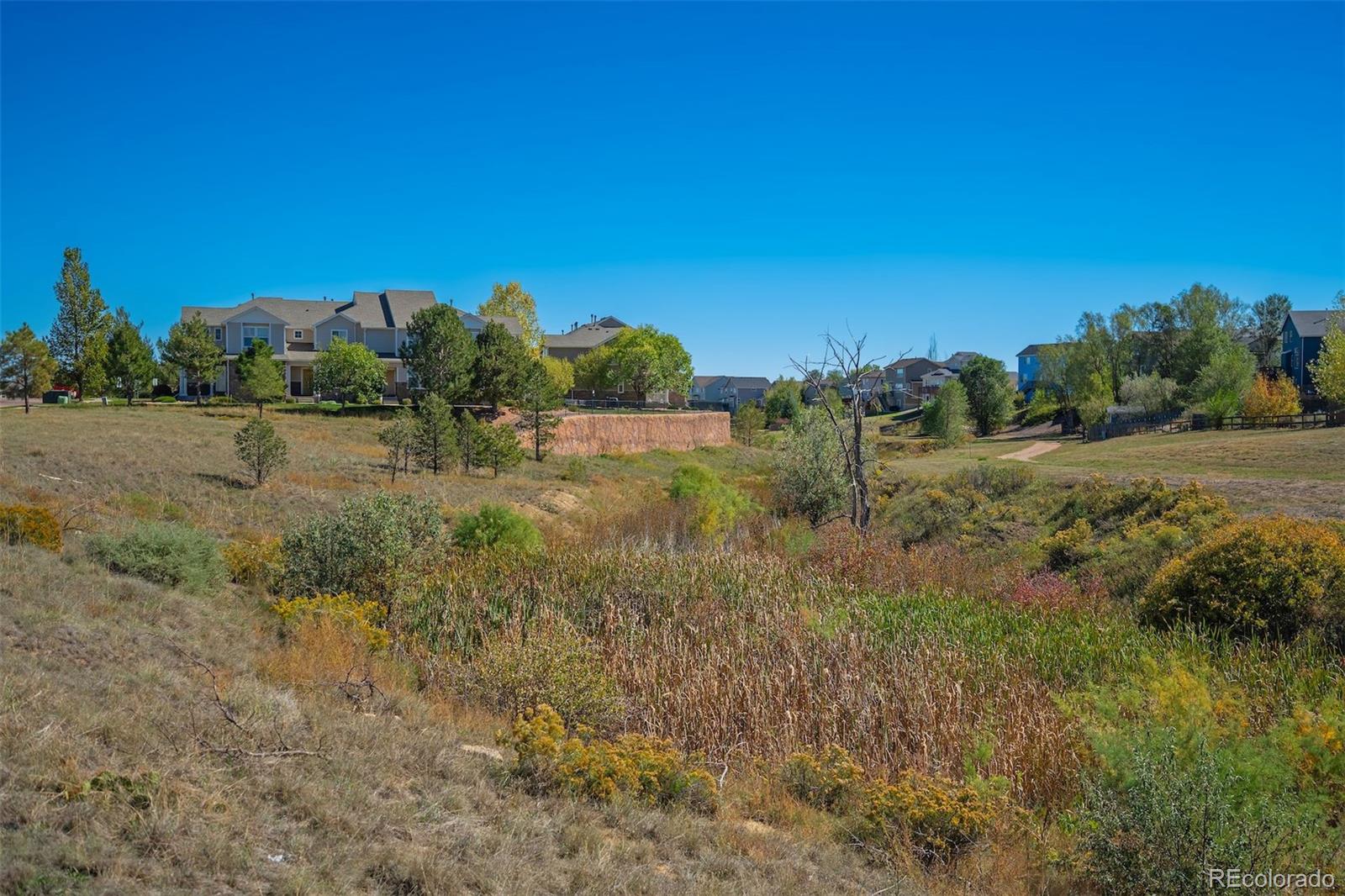 MLS Image #49 for 7303  sandy springs point,fountain, Colorado