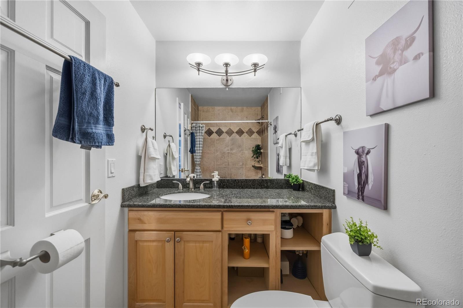 MLS Image #13 for 1625  larimer street 1007,denver, Colorado