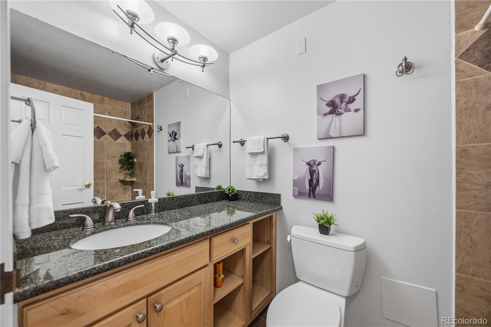 MLS Image #14 for 1625  larimer street 1007,denver, Colorado