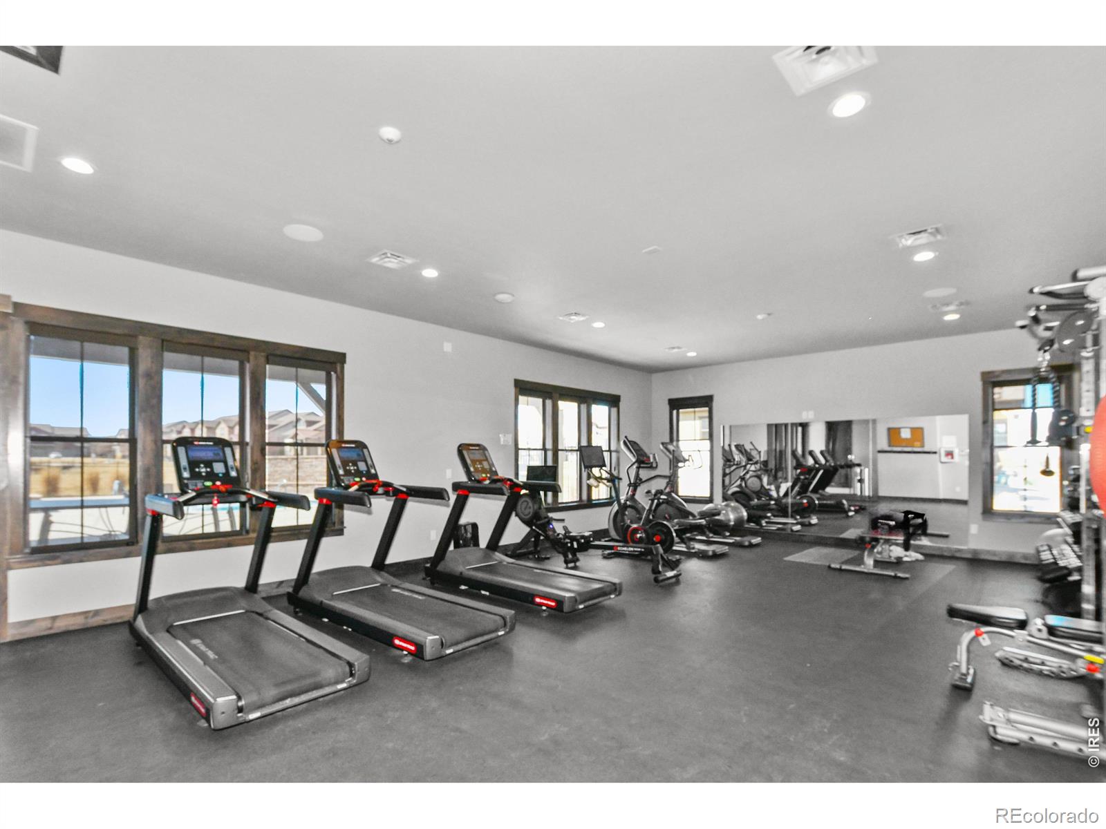 MLS Image #49 for 6241  vernazza way,windsor, Colorado