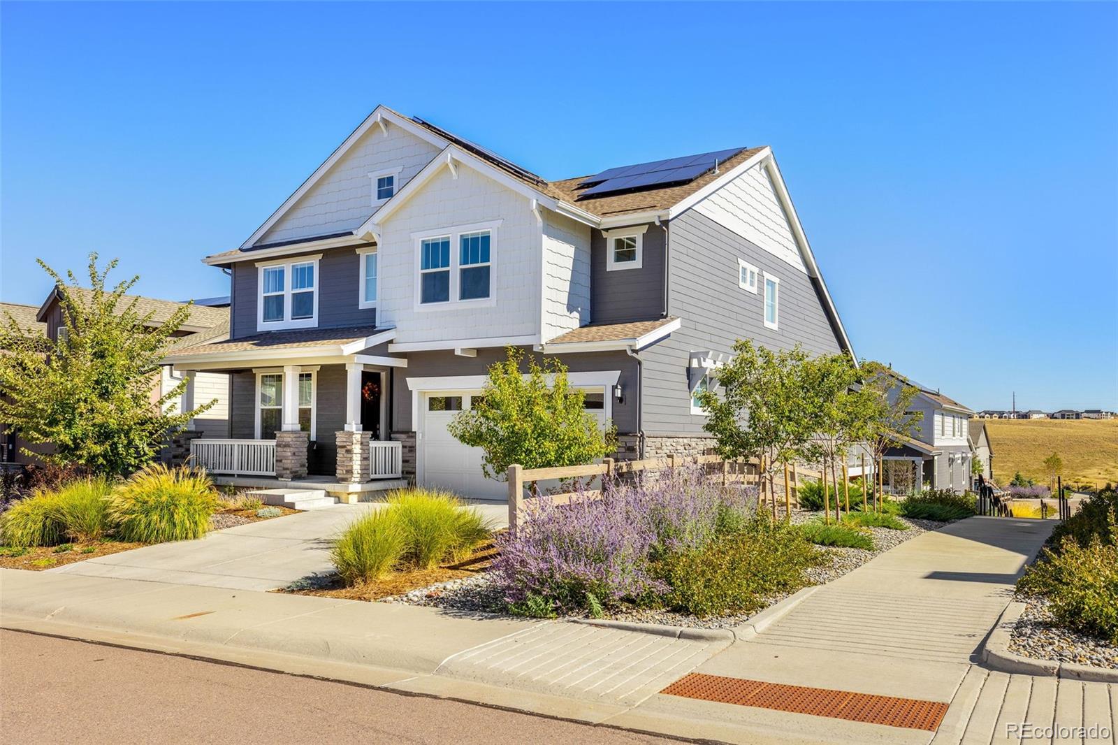 MLS Image #1 for 8168  sewanee peak street,littleton, Colorado