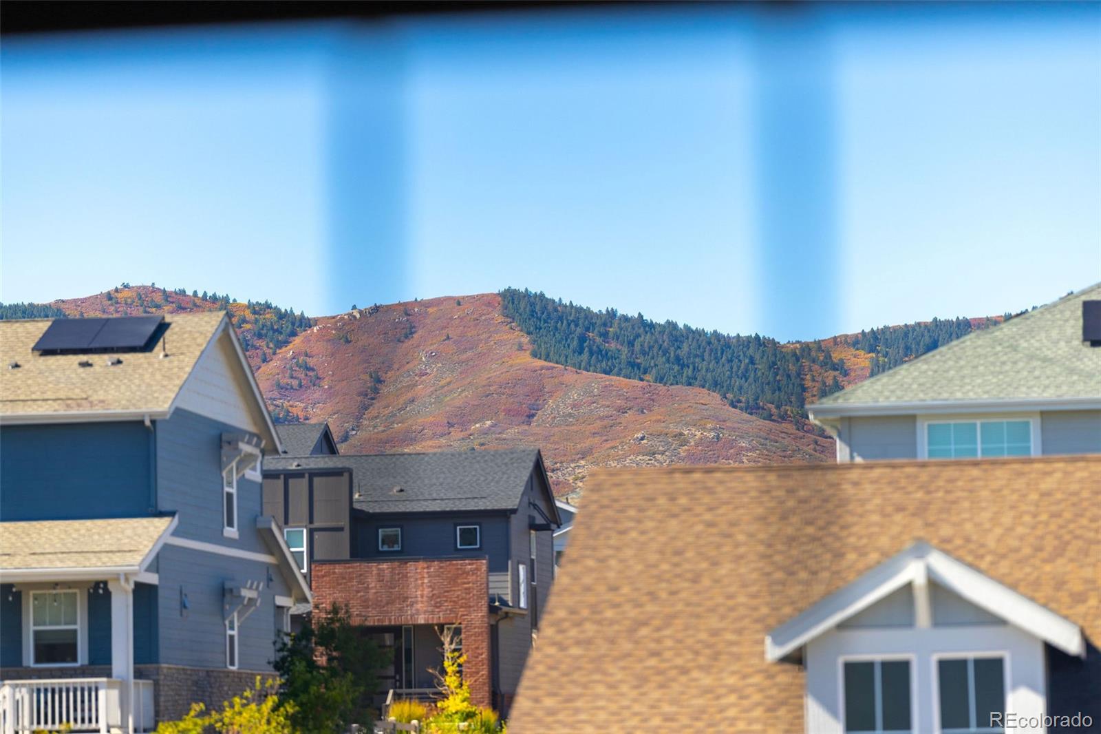 MLS Image #23 for 8168  sewanee peak street,littleton, Colorado