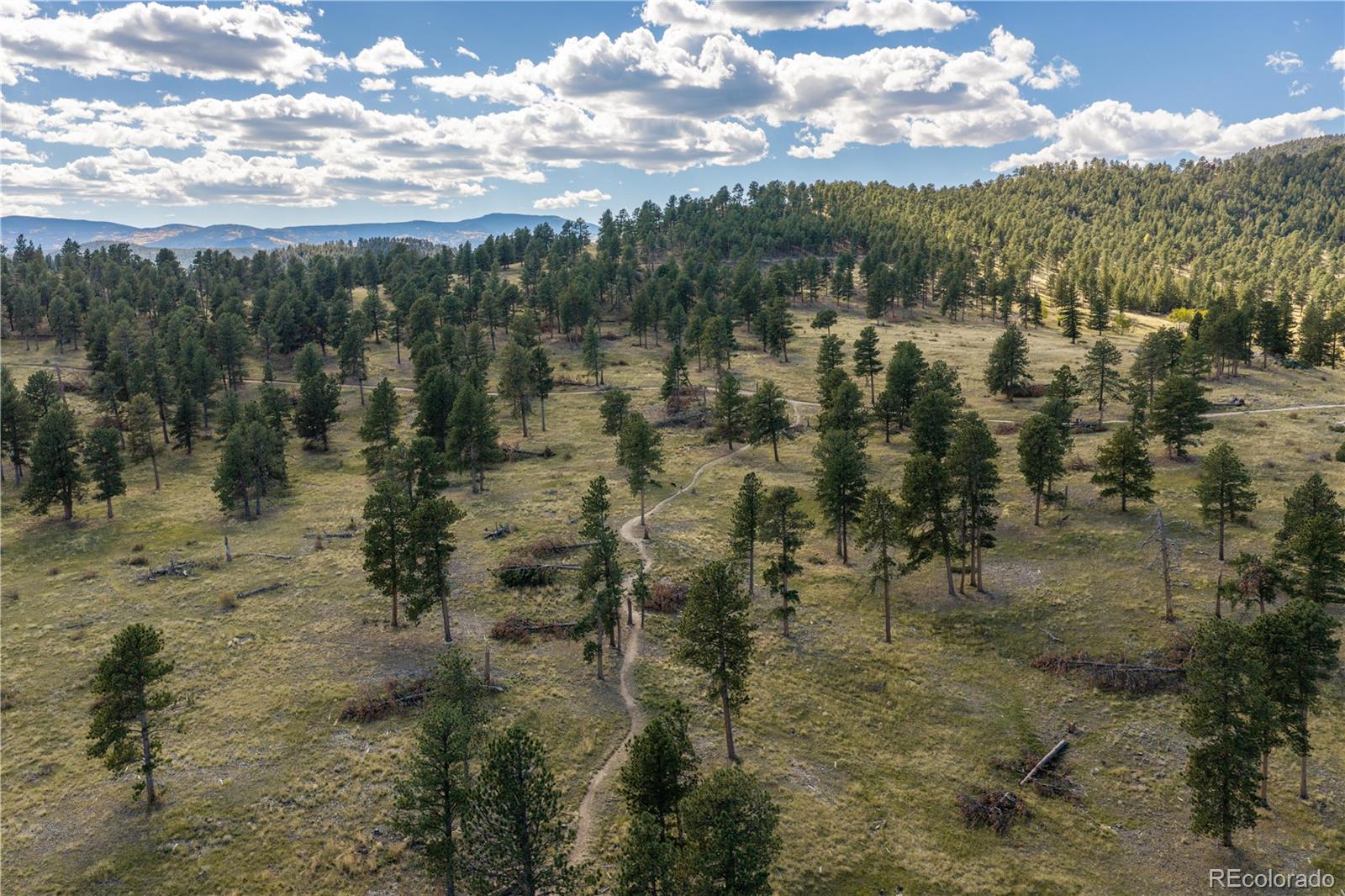MLS Image #46 for 3079  royale elk way,evergreen, Colorado