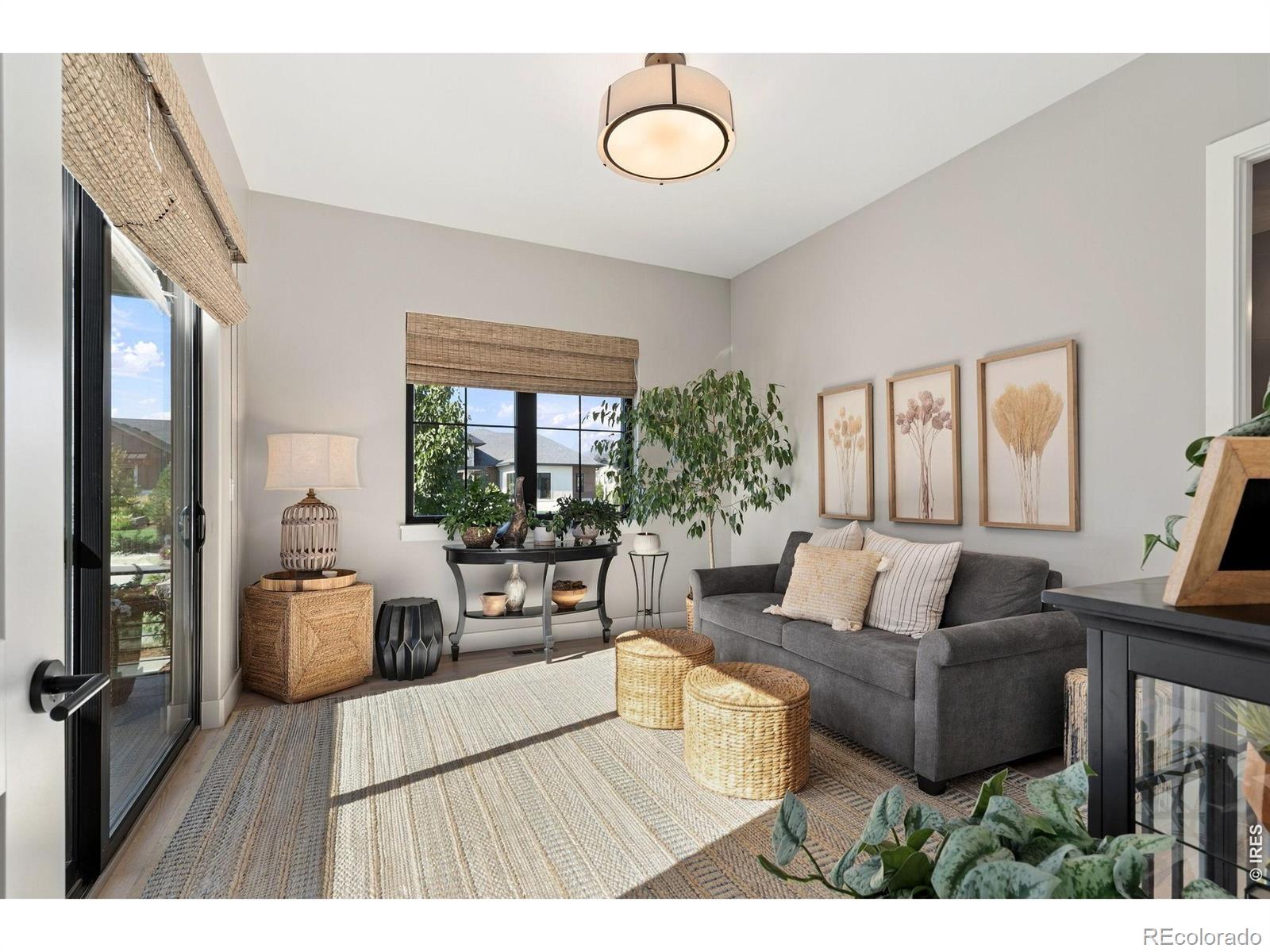 MLS Image #18 for 4453  grand park drive,timnath, Colorado