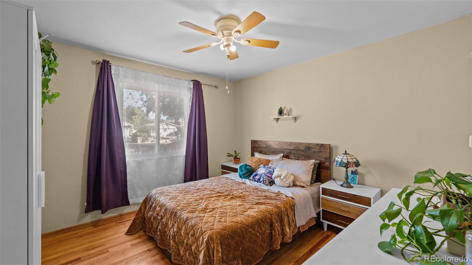 MLS Image #13 for 512  corte sol ,fountain, Colorado