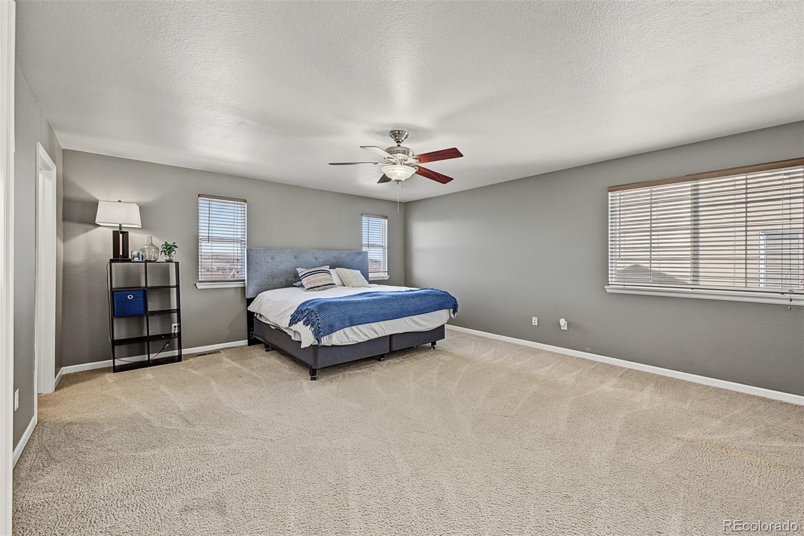 MLS Image #13 for 1461  live oak road,castle rock, Colorado