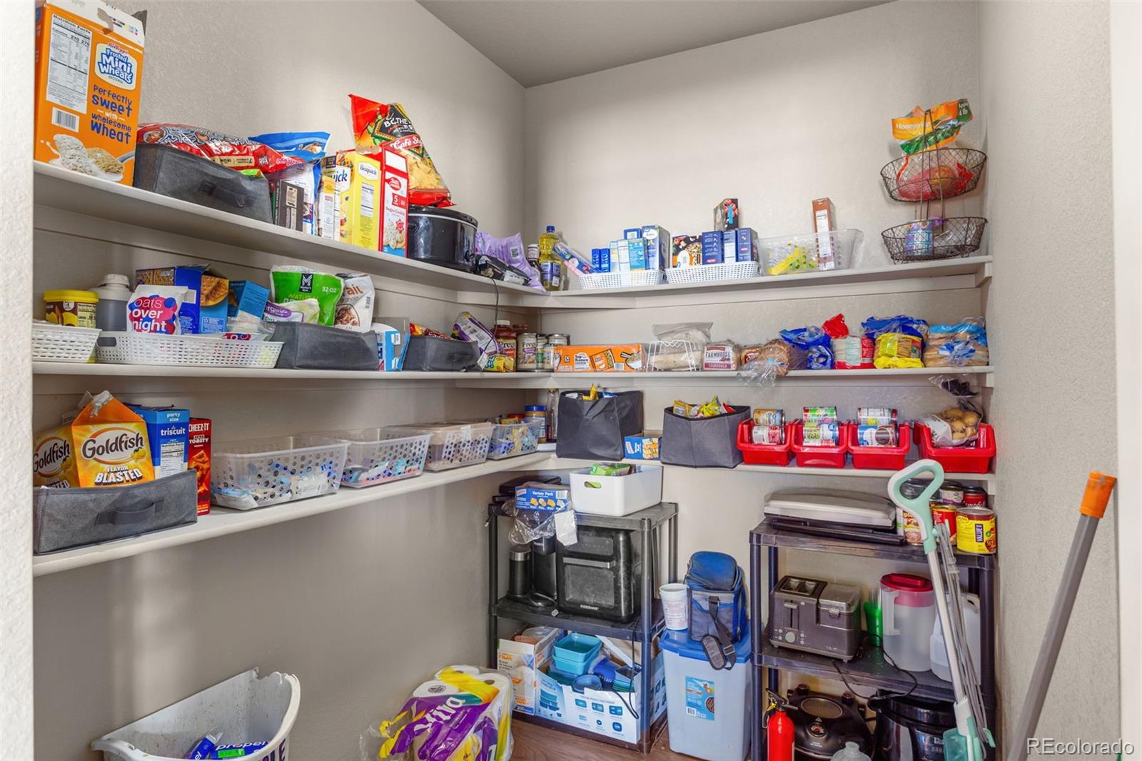 MLS Image #14 for 3746  torch lily street,wellington, Colorado