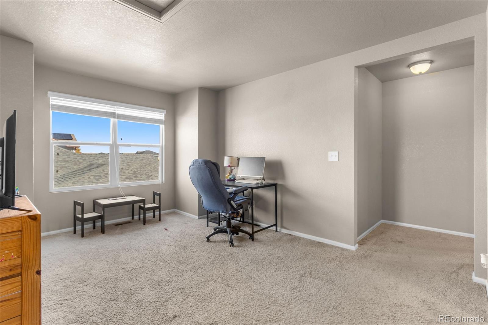 MLS Image #22 for 3746  torch lily street,wellington, Colorado