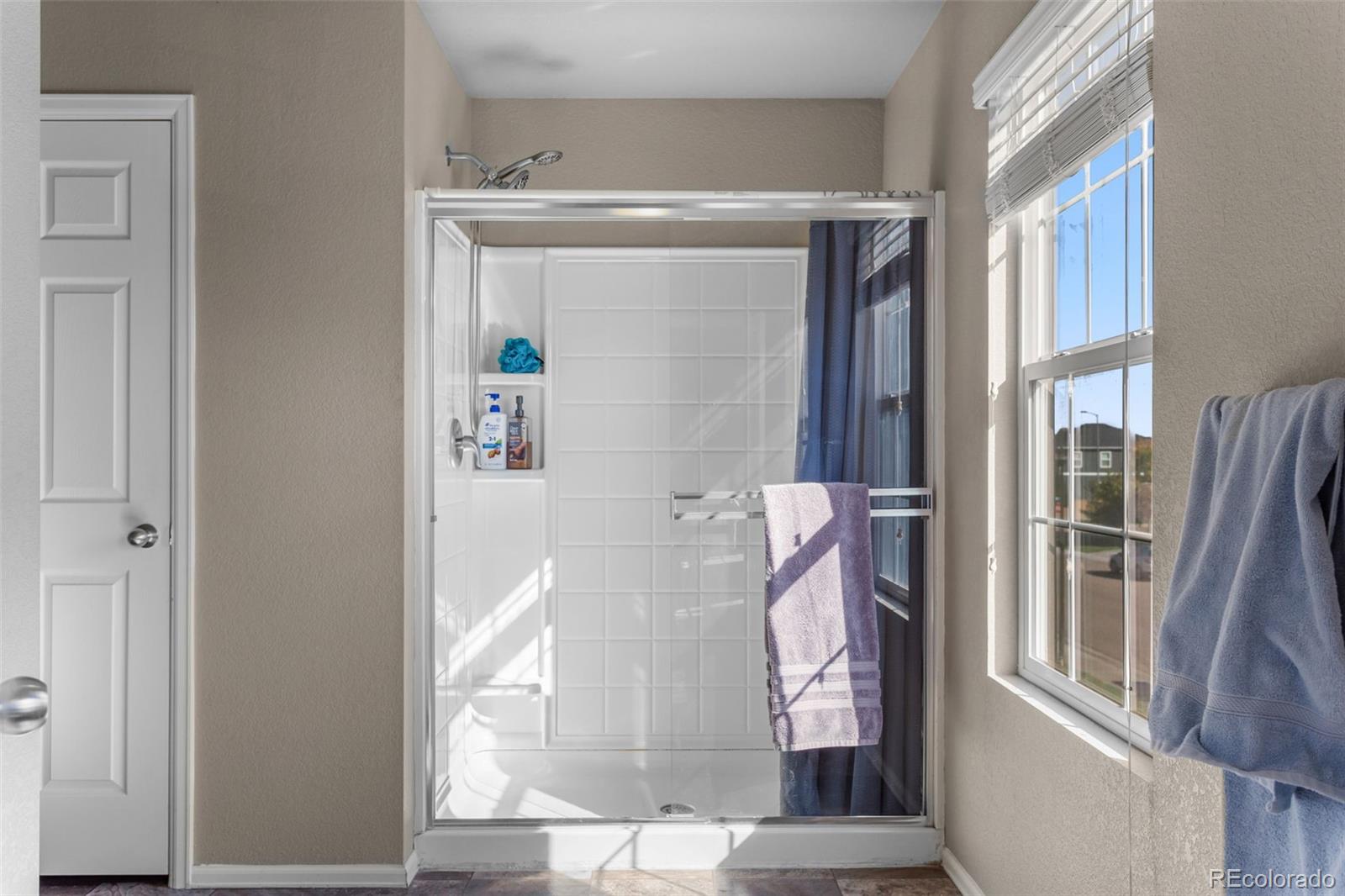 MLS Image #34 for 3746  torch lily street,wellington, Colorado