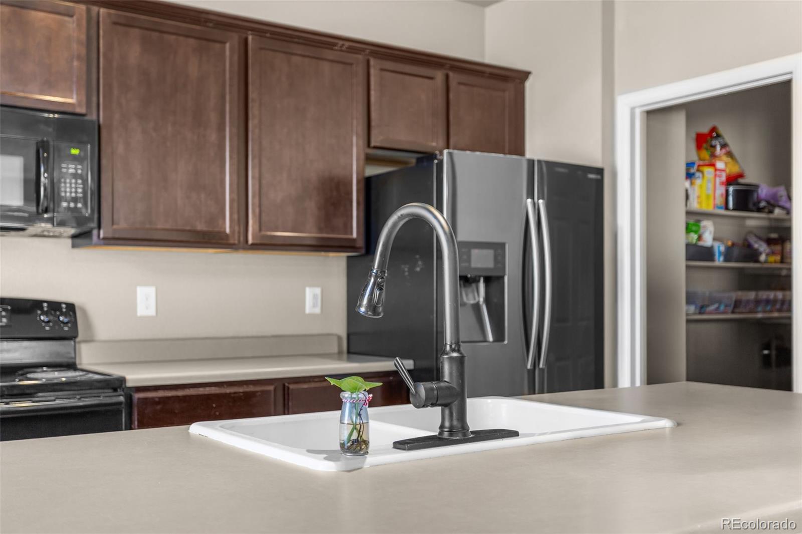 MLS Image #4 for 3746  torch lily street,wellington, Colorado
